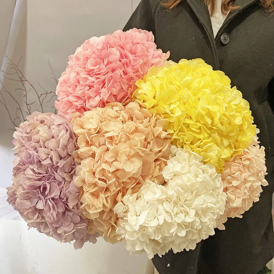 

Wholesale home wedding decorative flower preserved dried flowers preserved hydrangea
