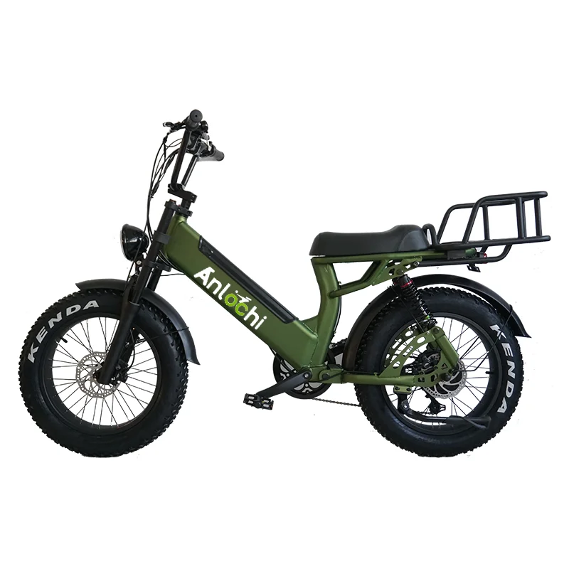 

ANLOCHI 2021 new arrival hot selling 48V 500W 13Ah fat tire two wheel cargo electric bike food delivery bicycle