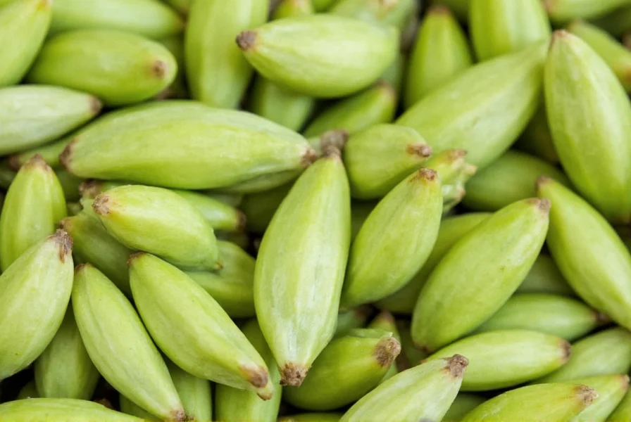 Close-up of green cardamom pods showing their triangular shape and pale green color