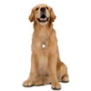 24H pet's health master smart waterproof dog activity tracker gps