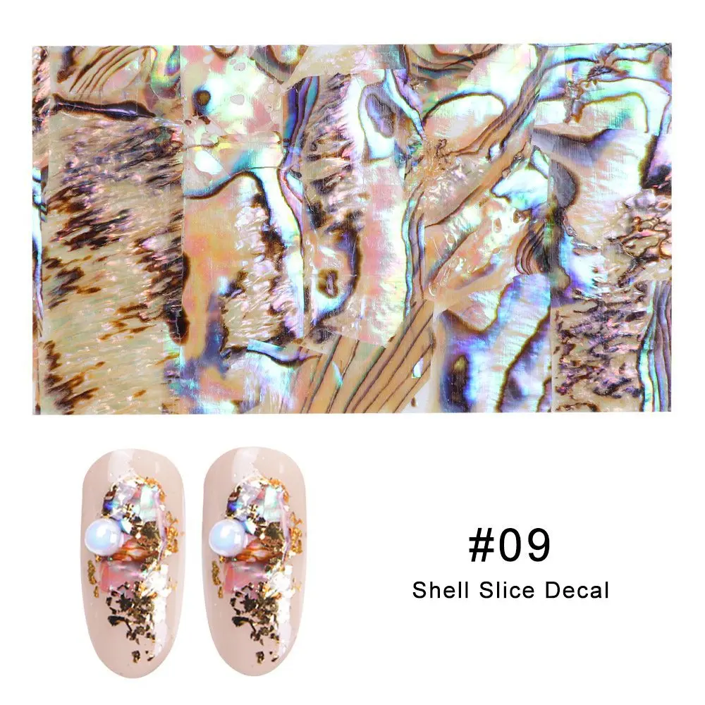 14 Designs Nails Abalone Shell Fragments Texture Natural Sea Shell 3d