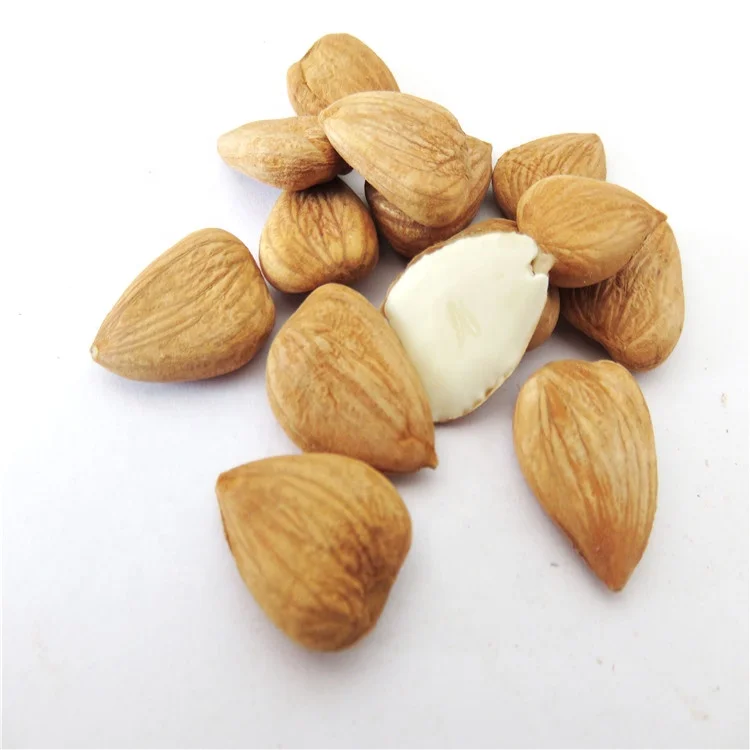 
Apricot kernel/Bitter apricot kernel /BAK for good sale 