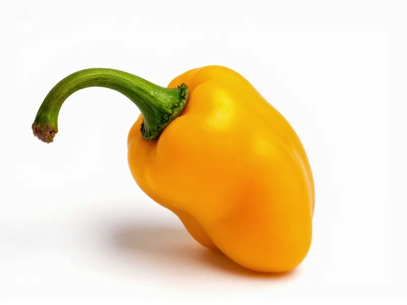 Serrano Pepper Scoville Scale: Heat Range & Comparisons