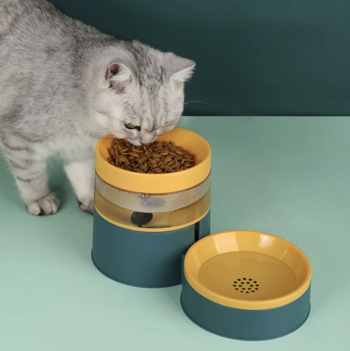 

Made in China Pet Feeder Training Bowl Slow Feed Pet Bowl For Dogs And Cats Pet Water Food Feeder