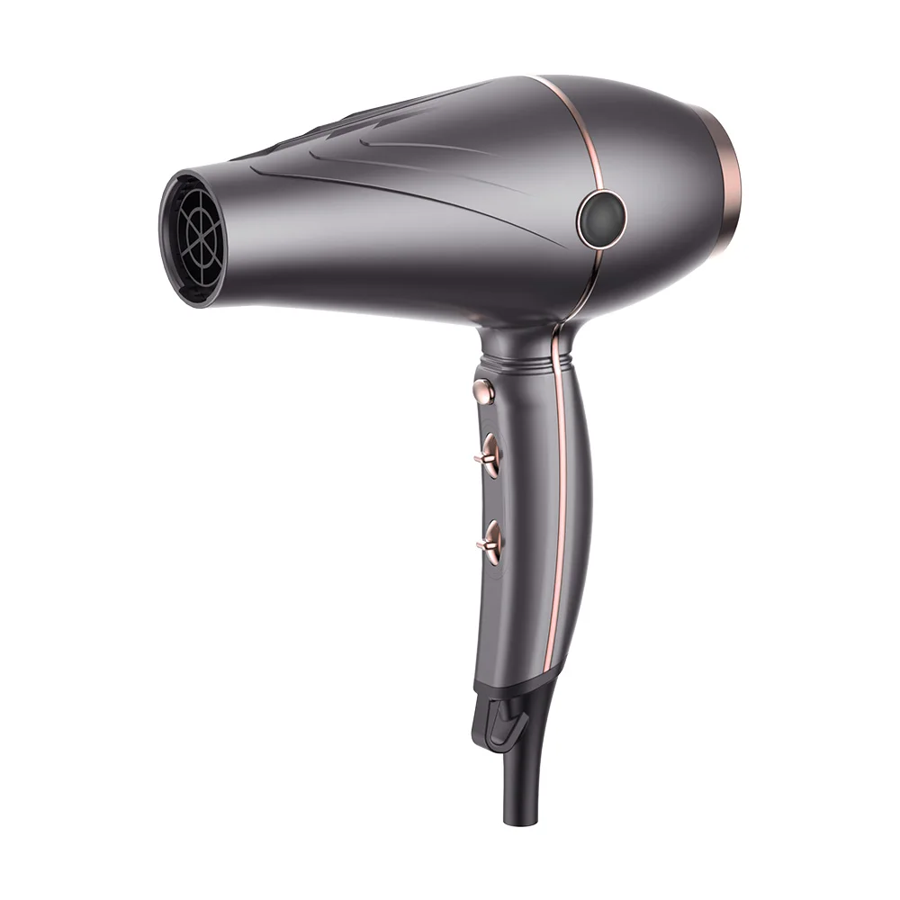 

High-quality Beauty Hair Salon Tool with AC Motor Professional Hair Dryer for Barber and Household Electric Salon Equipment