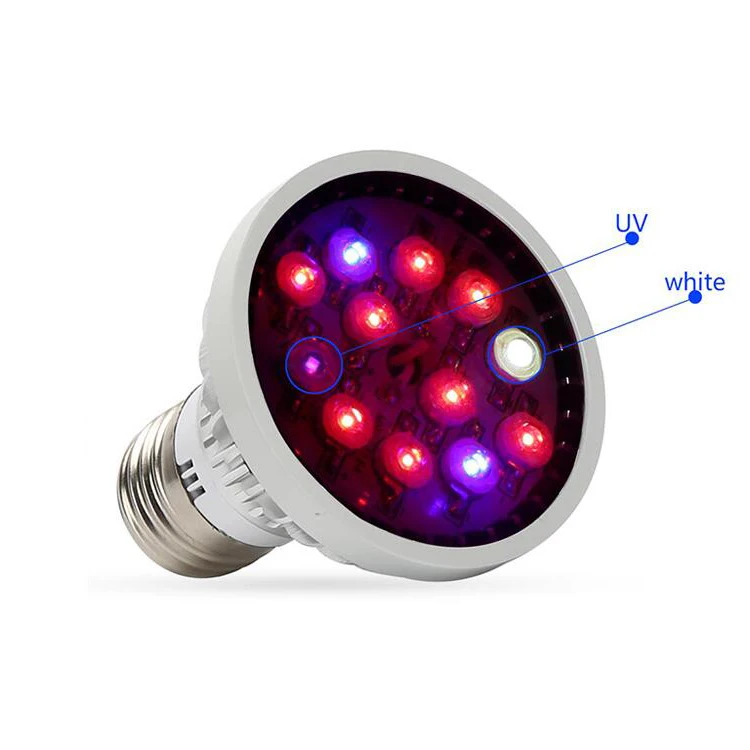 factory spectrum light led lights for sale mini grow box