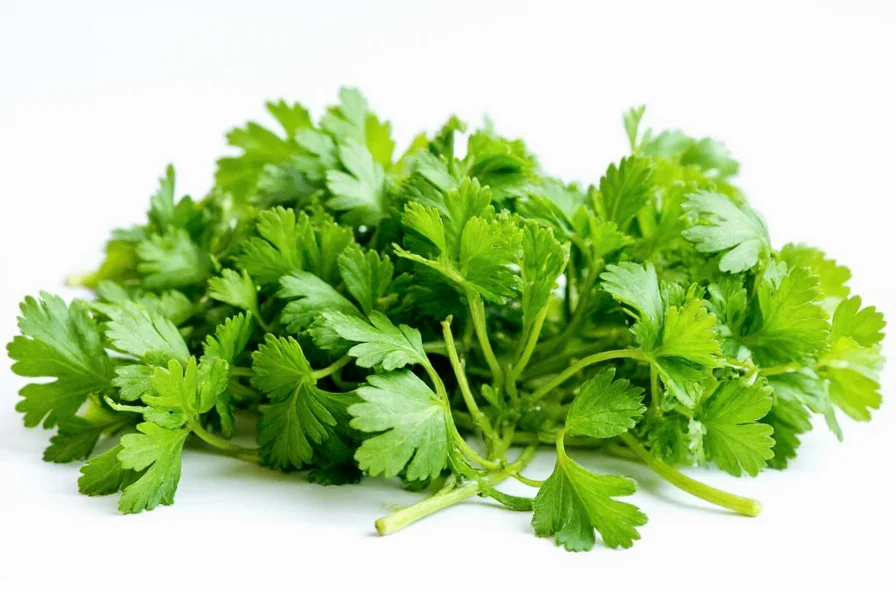 Taste Test Chart Parsley vs Cilantro