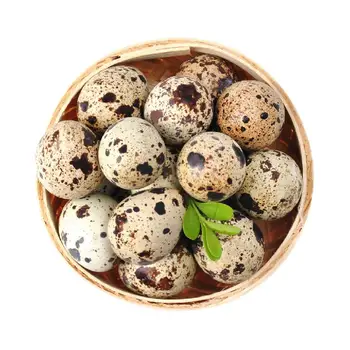 High Nutrition 850g Canned Quail Eggs With Factory Price For Restaurant