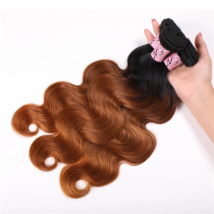 Visa Work Straight Human Hair Bundle Hair Ombre Extensions For Young Girl Brazilian Hair