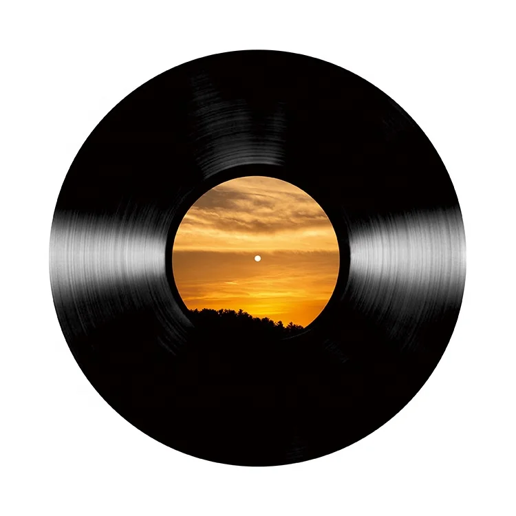 
Black LP (Vinyl records) manufacturing in white paper sleeves 