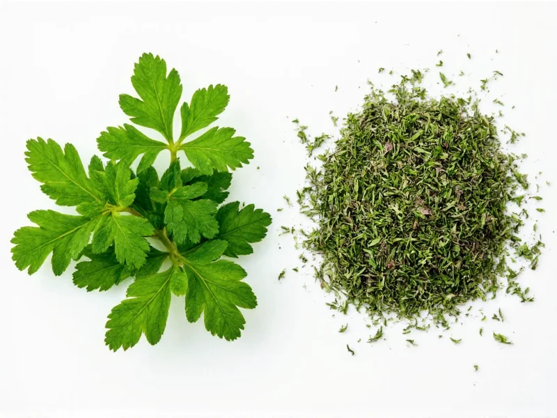 Fresh vs Dried Parsley: When to Use Each (Complete Guide)