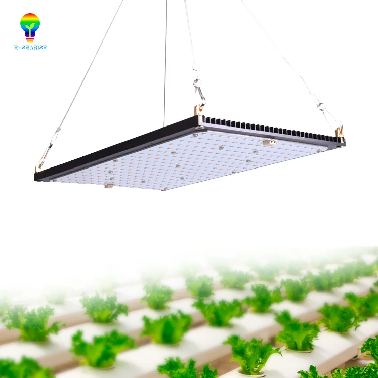 
QB1000 Samsung Lm301b Led Grow Lights For Plant 