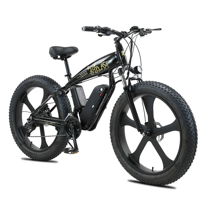 

Customizable 26 inch 27 speed electric dirt bike 1000w 48v adult fat electric cycle