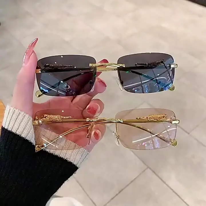 

Sunglasses 2022 Fashion New Style Frameless Cut-edge Sunglasses Small Square Frame Leopard On Temple Decoration Y2k Sun Glasses, Picture shows