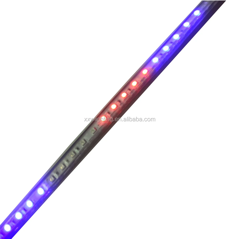 Factory supplier multicolor 5050 2835 RGB flashing running 220V led flat rope light