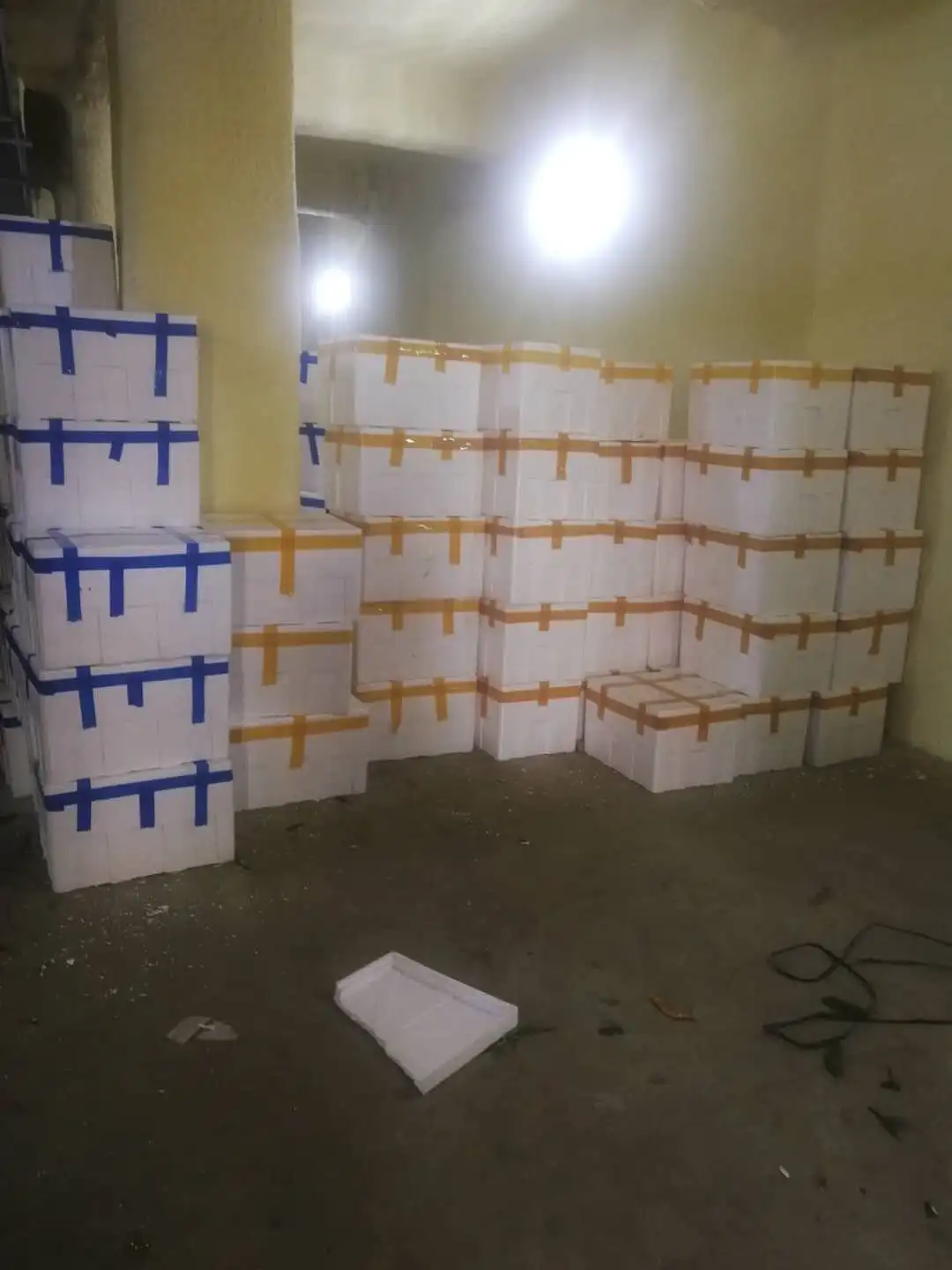 
Factory Plant supplier Hot Red Green Red Fresh Chilli in Frozen 