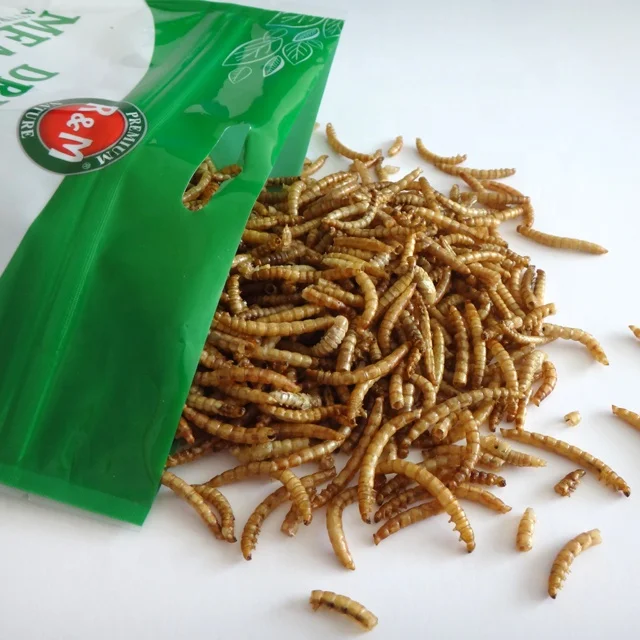 
Dried Mealworms High Protein Customised Birds Food for Fishes Reptiles in Bags 100g Factory Directly Supply 