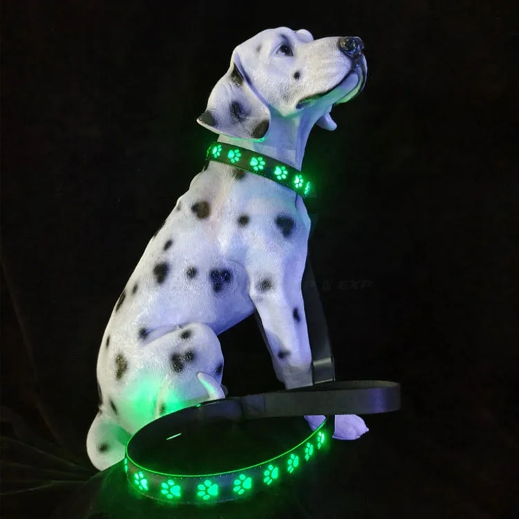 

Designer New Style LED Light Up Pet Collars And Leashes Luxury Nylon Custom Wholesale Pet Dog Leash Set