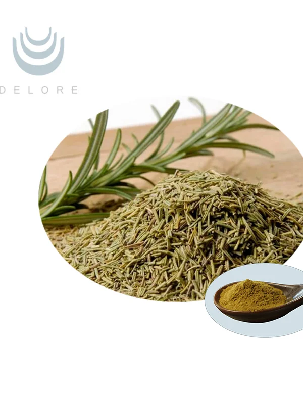 Rosemary Leaf Extract Powder/liquid 15 Carnosic Acid For Beef/meat