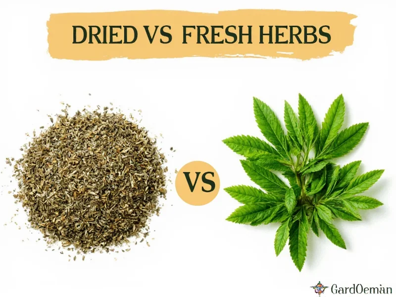 Dried vs Fresh Herbs Ratio: Complete Conversion Guide