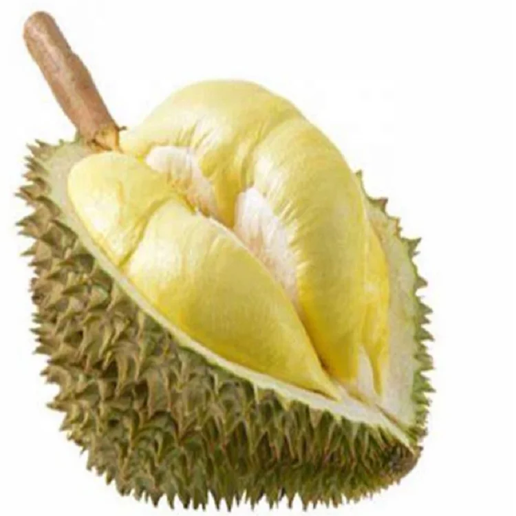 fyfd006f best price freeze dried durian with high quality