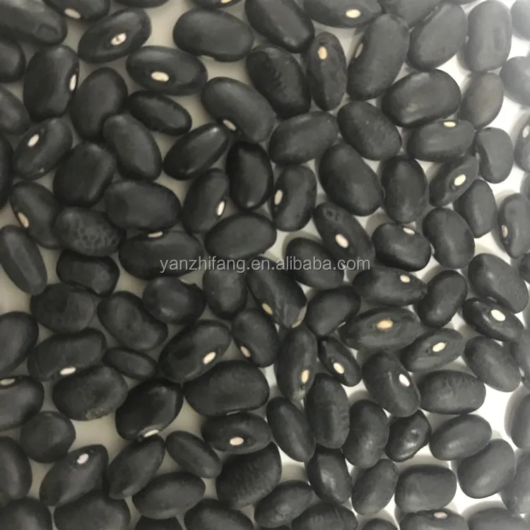 black bean and kidney bean price