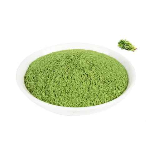 Coriander Powder - Wholesale Bulk & Private Label H8149326a757a4099a4875e2c3243519aV