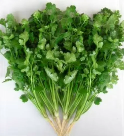 Coriander Powder - Wholesale Bulk & Private Label H81535e68c9d543bb8ae0f176478ddd51s
