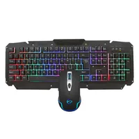 

LED Backlight Rainbow USB Wired Keyboard Mouse Combo Set Ergonomic Durable Wired Keyboard And Mouse For PC Game