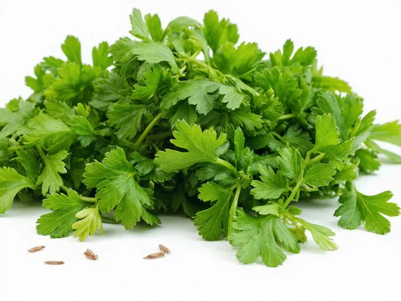 Fresh Parsley Equals How Much Dried: 3:1 Conversion Guide
