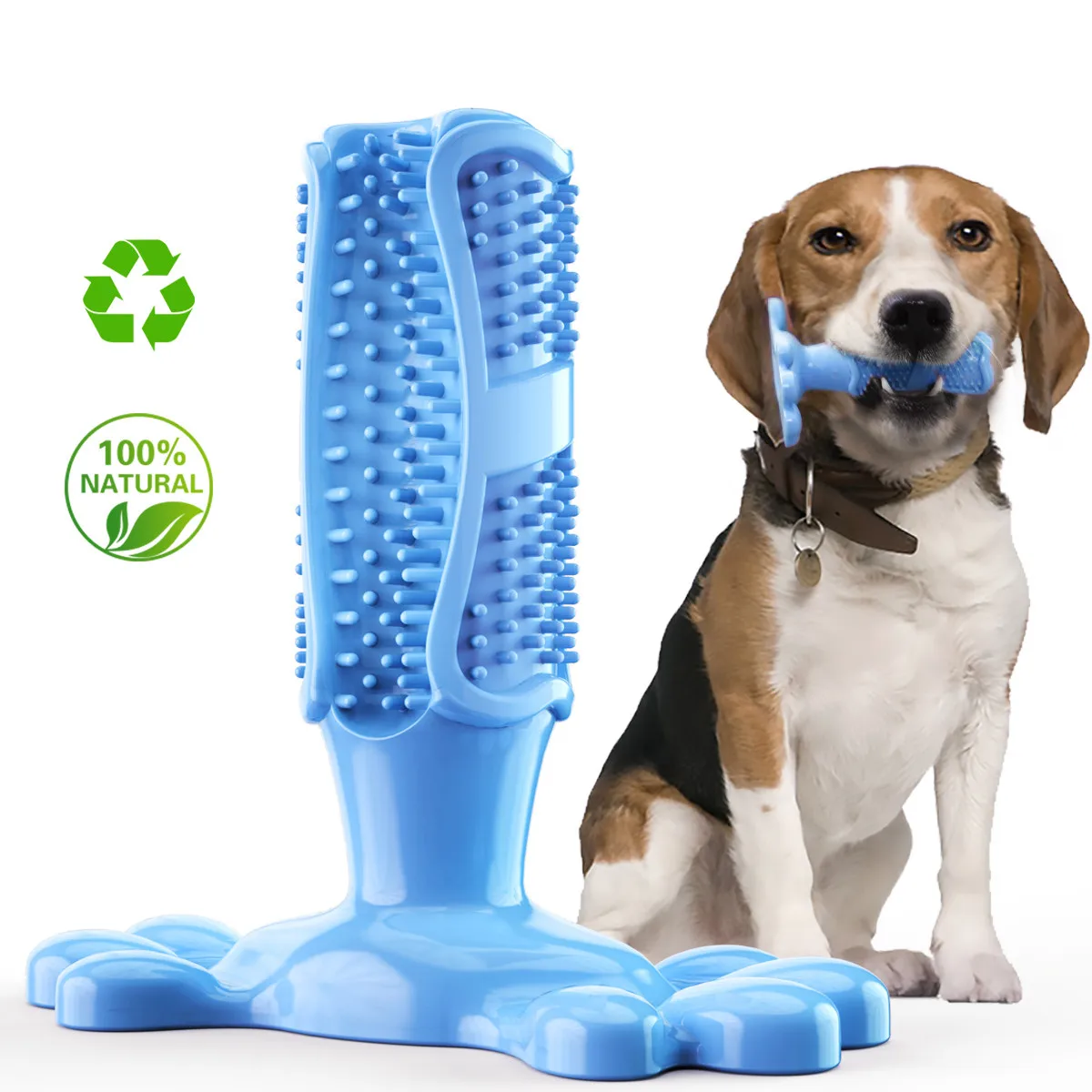 

Factory Hot Sale Cleaning Brush Rubber Stick Sided Soft Dog Toothbrush