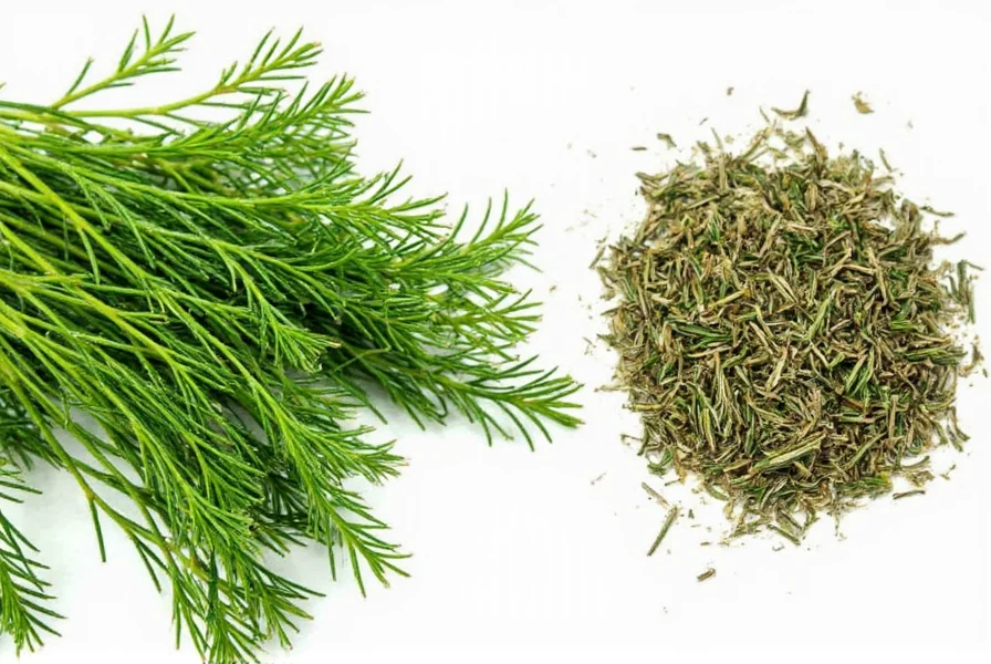 fresh dill vs dry dill which one should you reach for a spicy showdown
