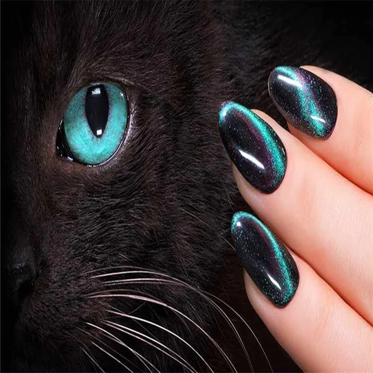 

RS Nail 9D cat eye color gel nail polish soak off gel polish