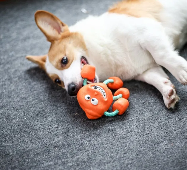 耐用的做声音橡胶狗咀嚼玩具任何狗