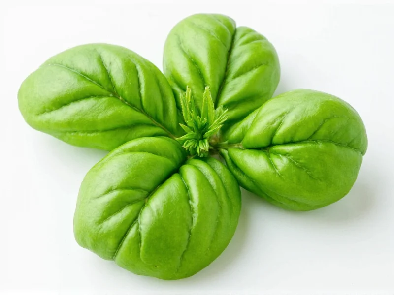 Best Basil Substitutes: Practical Kitchen Alternatives