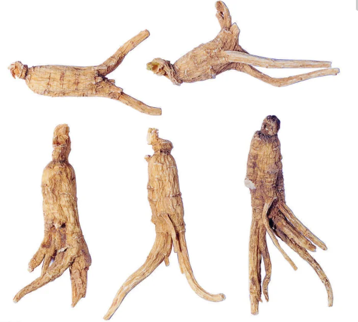 factory wholesale 100% natural herb extract high