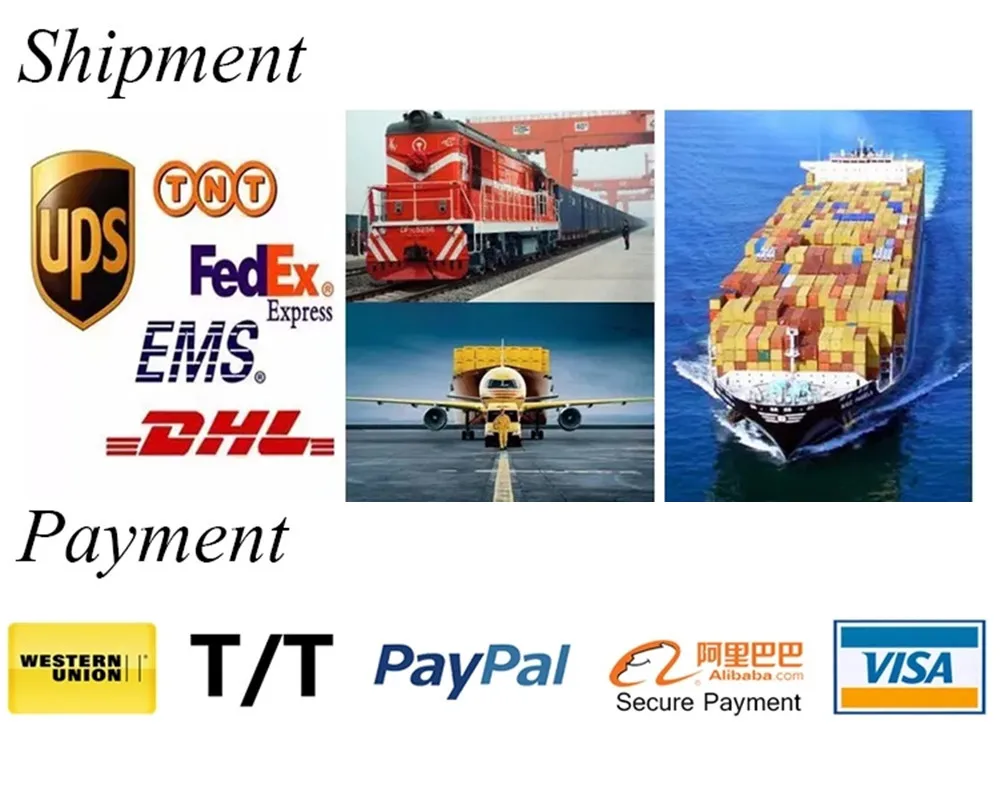 ship and payment.jpg