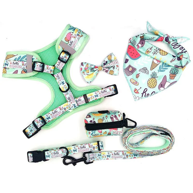 

Eco-friendly Sublimation Dog Harness Personalized Dog Accessories Custom Neoprene Comfortable Fashion Pet Accessories Walk Dog