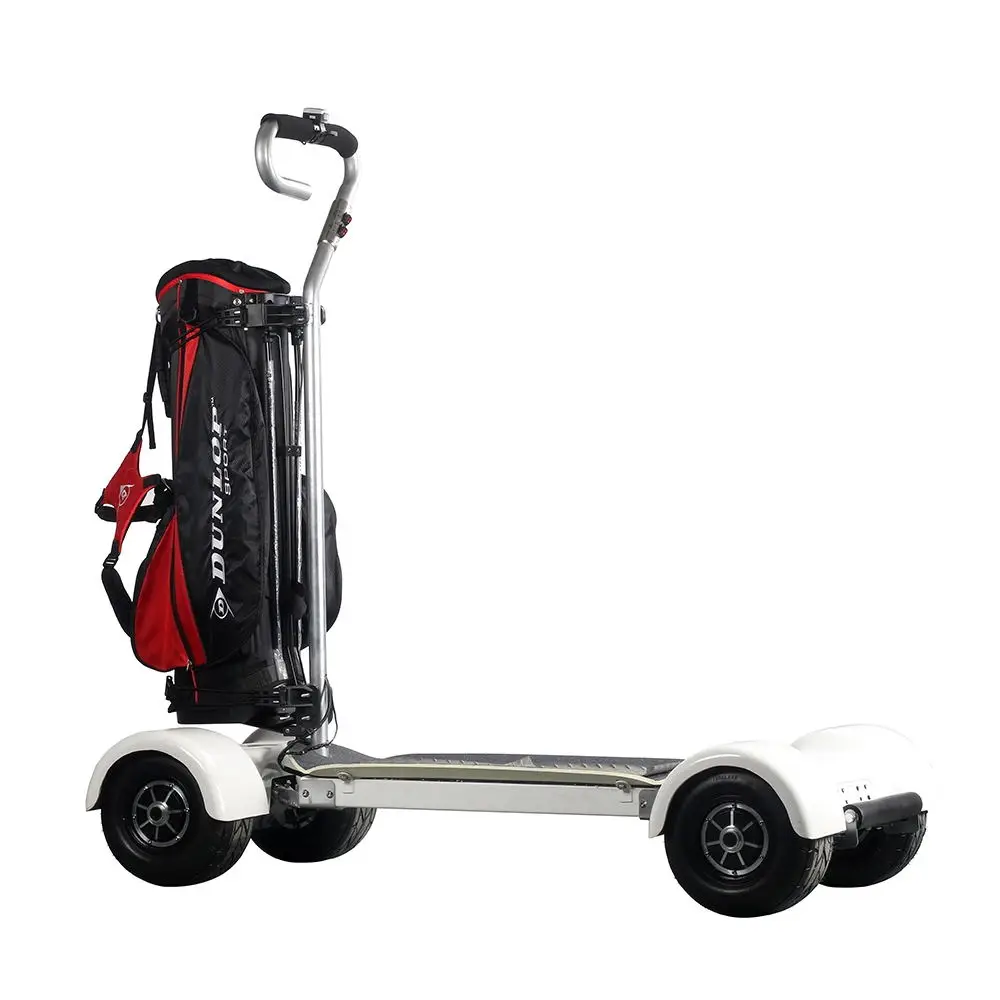 

2021 Chinese Manufacturer hot 10.5inch electric Golf Scooter