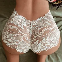 

sfy564 women underwear sexy lingerie transparent ladies underwear panties