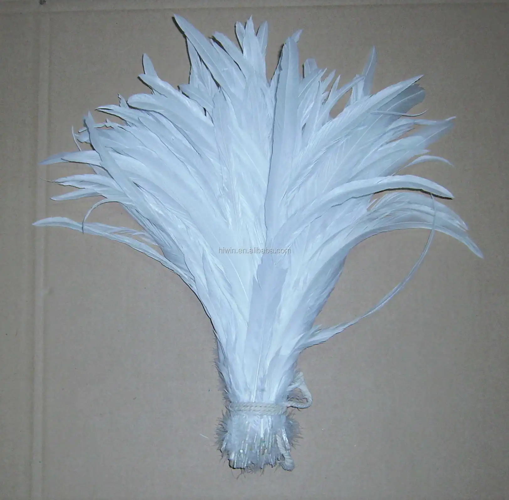 PICT0178.JPG