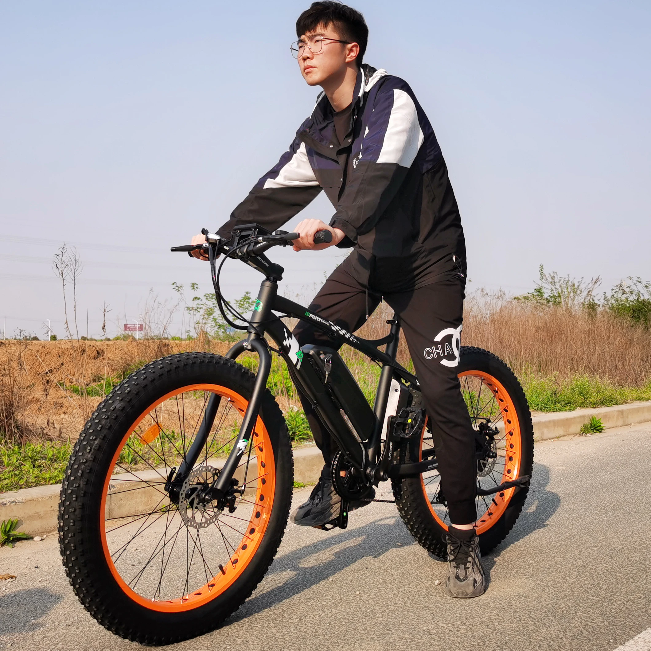 

2020 hot sale powerful offroad fat tire electric mountain bike ebike 500w with low price