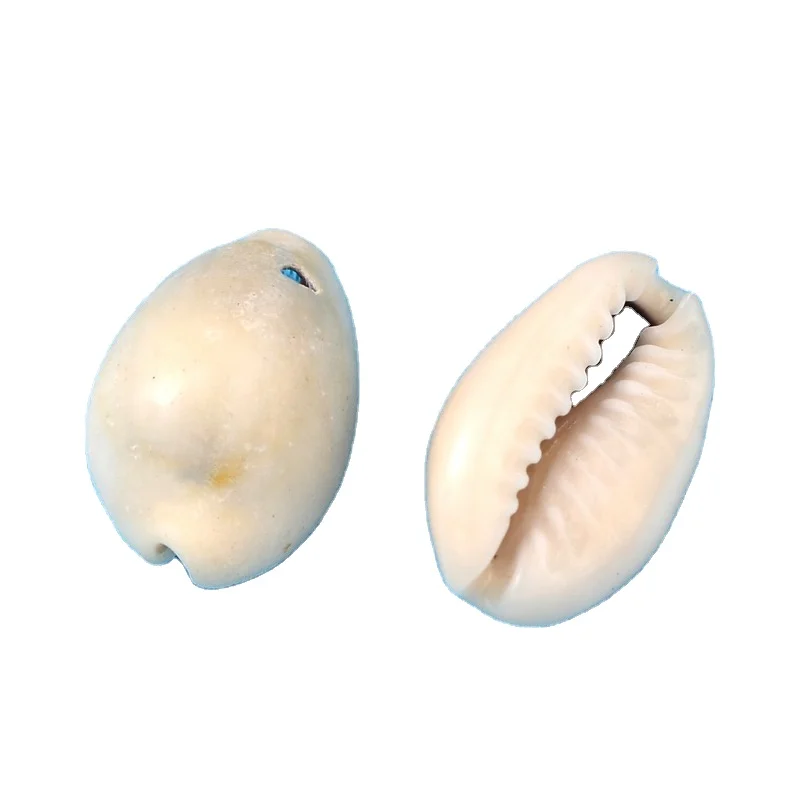 

PandaHall Natural White Spiral Cowrie Shell Beads