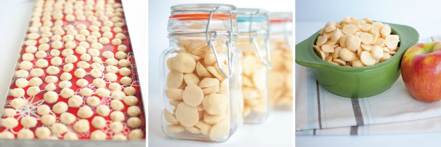 NADE In-Situ Minitype Lyophilizer/freeze drying equipment/freeze dryer 0.1m^2 TF-HFD-1