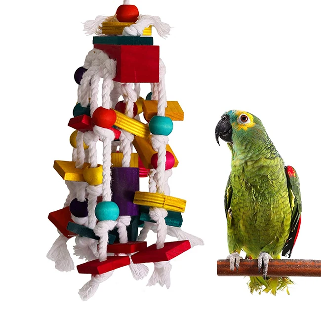 

Brand New Toy Parrot Toys Training Skateboard Stand Perch Cages Parrots African Grey Bird Cage Accessories For Cockatiels