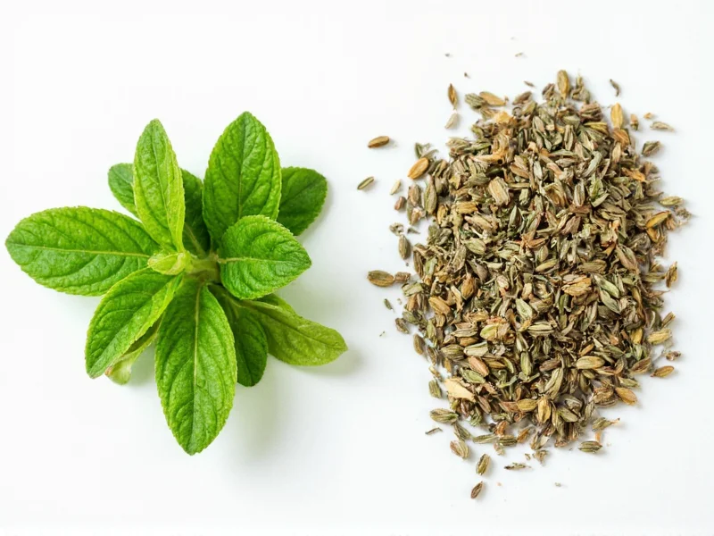 Fresh Herbs vs Dried: When to Use Each in Cooking