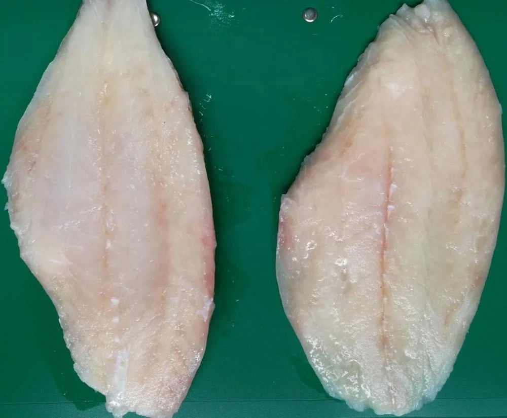 
Good Sale Indonesia Origin Seafood Frozen Halibut WR 