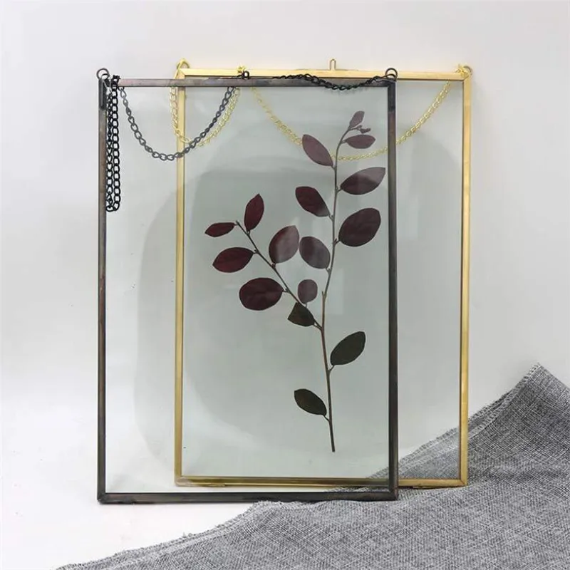 Double Sided Glass Hanging Photo Frame Wall Frame Flower Plant Specimen