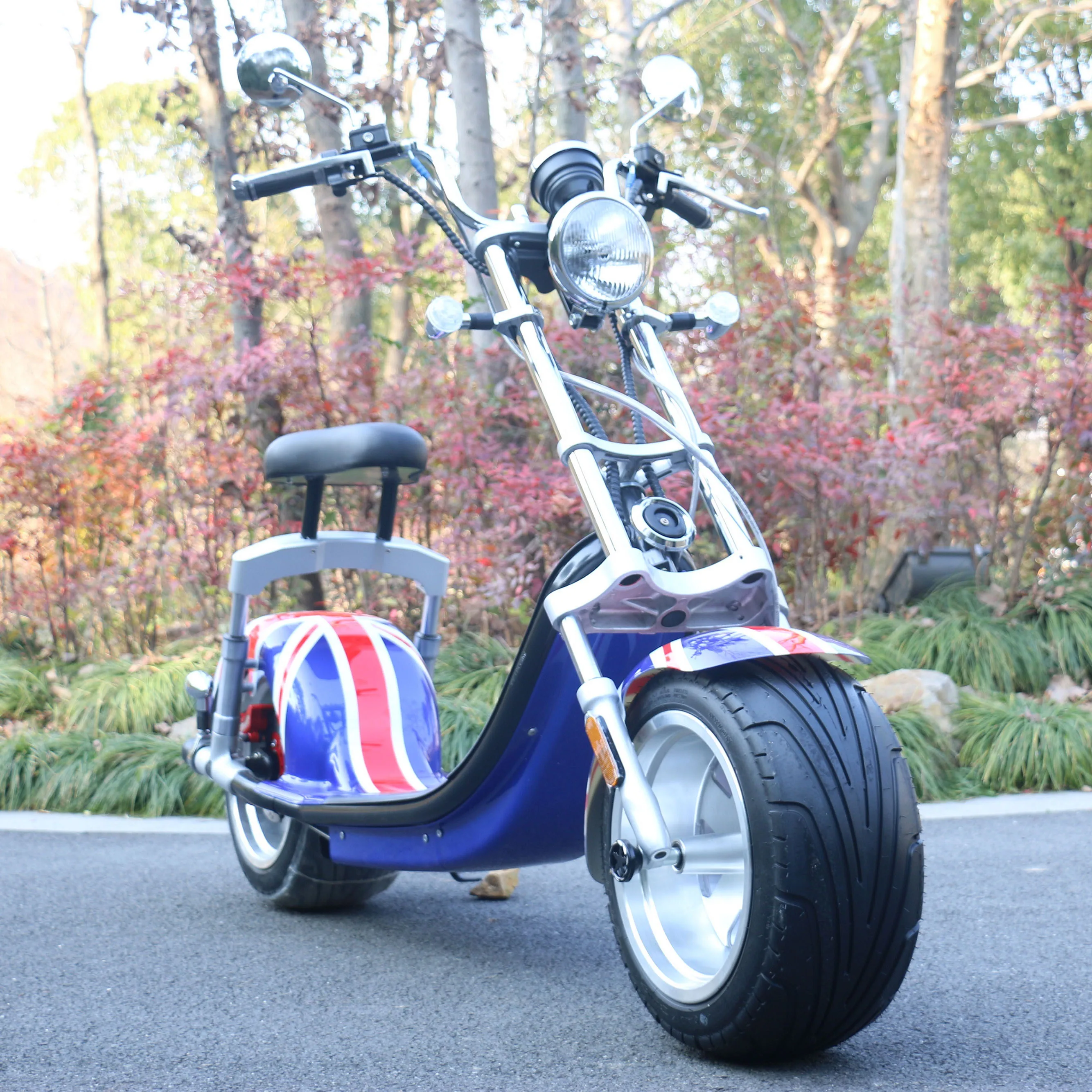 

EU Warehouse Adult Electric Scooters 1500w Mobility Air Tire Citycoco Harleys Motorcycle 10 inch Wide Wheel, Black