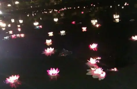 New Arrive Diameter 19 cm LED Lotus Lamp in Colorful Changed Floating Water Pool Wishing Light Lamps Lanterns for Party
